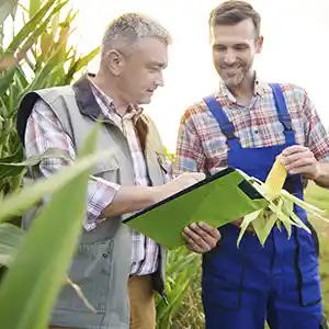 Asesoria agrícola
