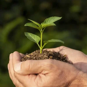 fertilizantes