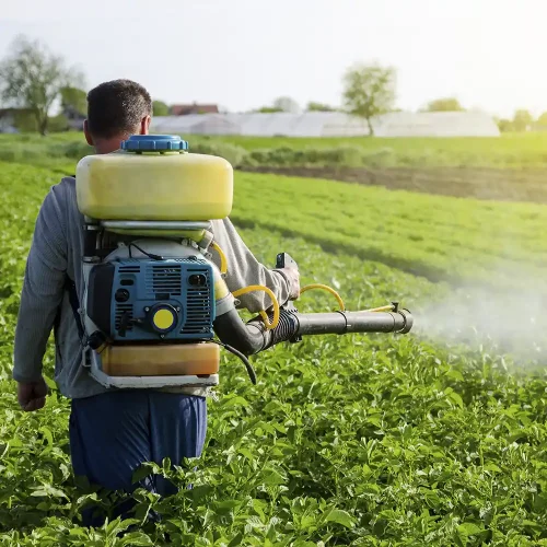 insecticidas insecticidas